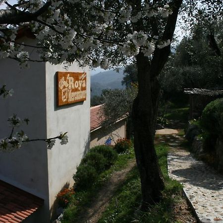 Gite Roya Mercantour Breil-sur-Roya Kültér fotó
