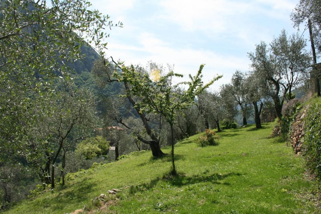 Gite Roya Mercantour Breil-sur-Roya Kültér fotó