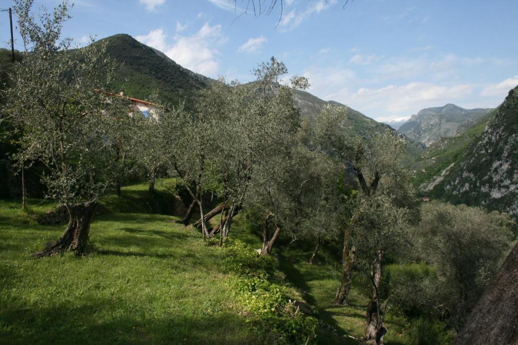 Gite Roya Mercantour Breil-sur-Roya Kültér fotó